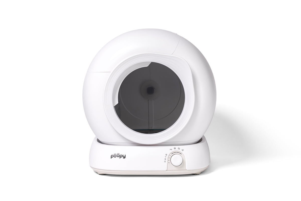 Kat stapt uit de Poopy Nova Pro automatische kattenbak in een woonkamer