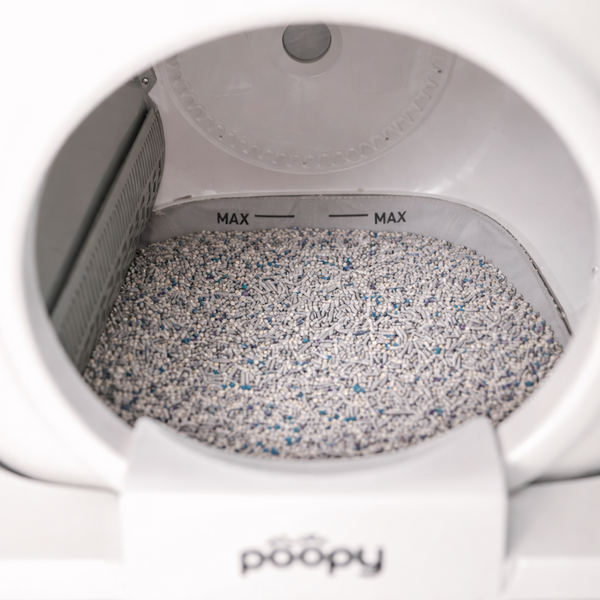 Kattenbakvulling wordt bijgevuld in een automatische kattenbak