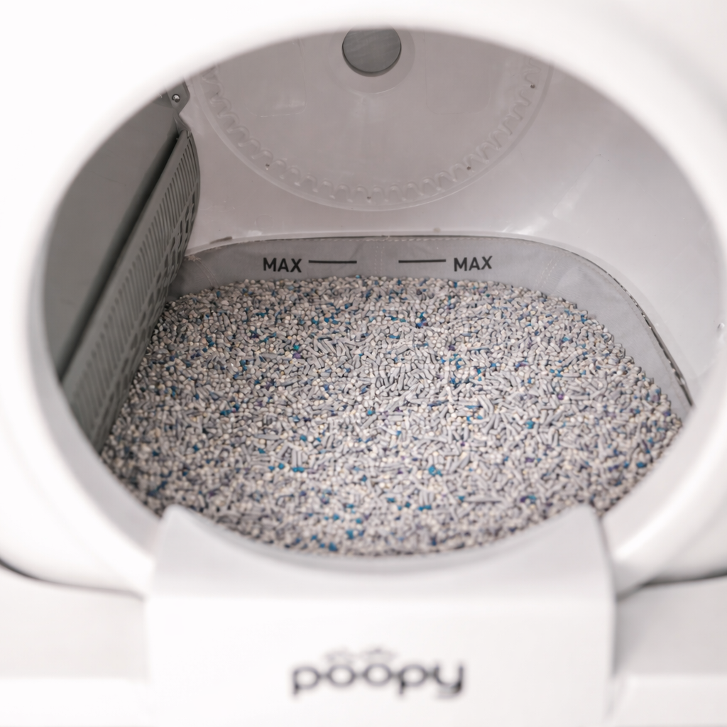 Kattenbakvulling wordt bijgevuld in een automatische kattenbak