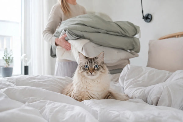 Kat zit op het opengeslagen dekbed in de slaapkamer
