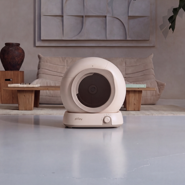 Poopy Nova Pro - Dune Beige