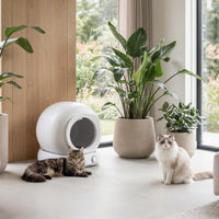 Poopy Nova Pro - Polar White (Pre-order)