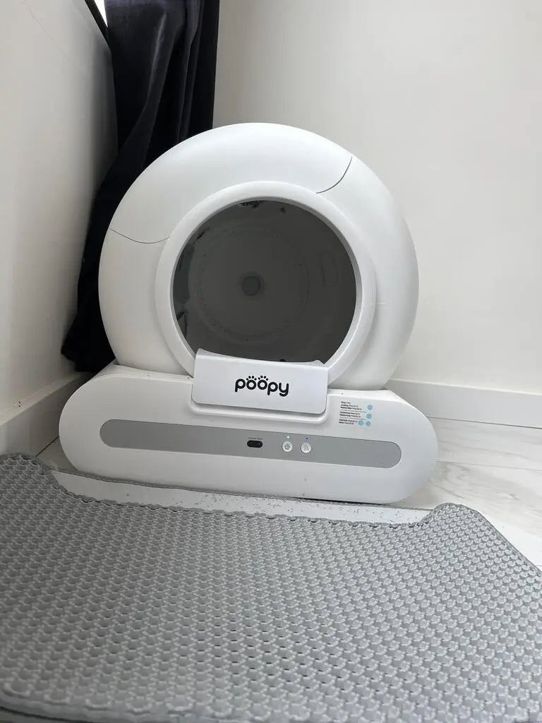 Poopy
