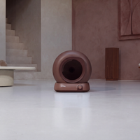 Poopy Nova Pro - Mocca Brown