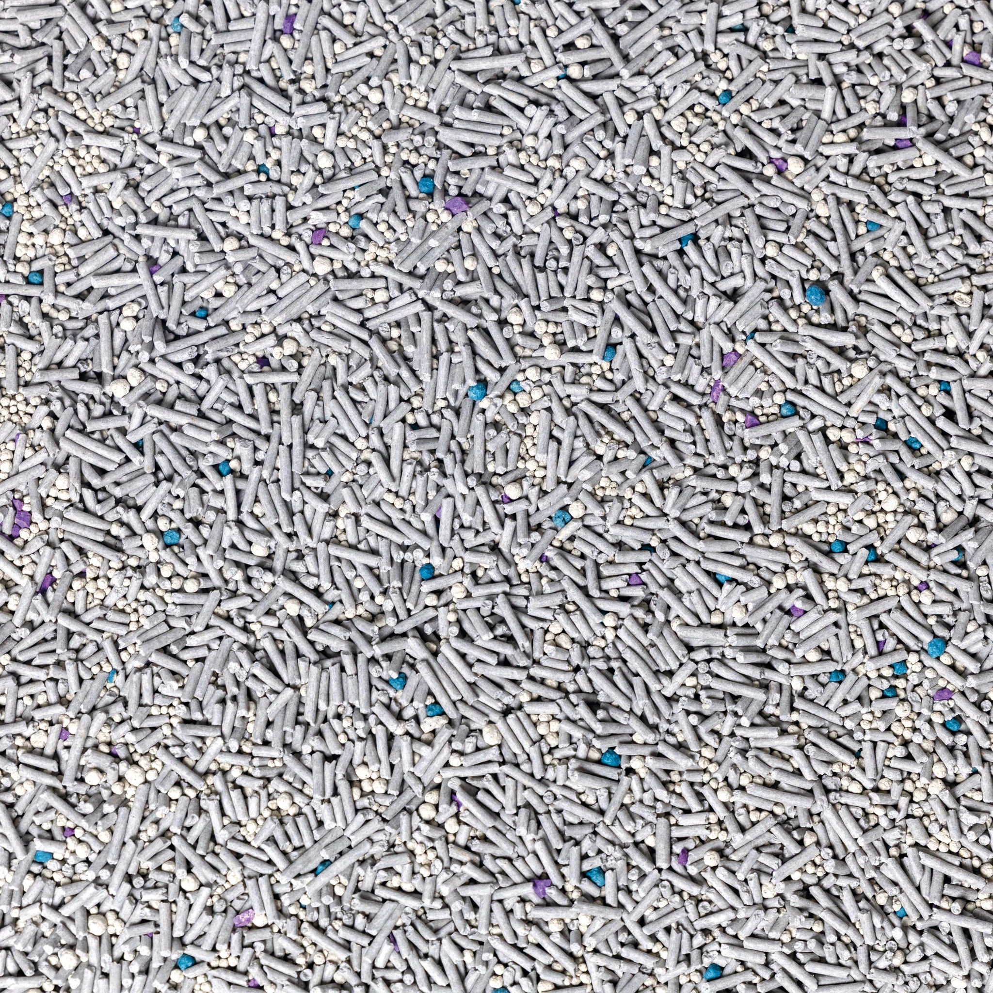 image de l'observateur