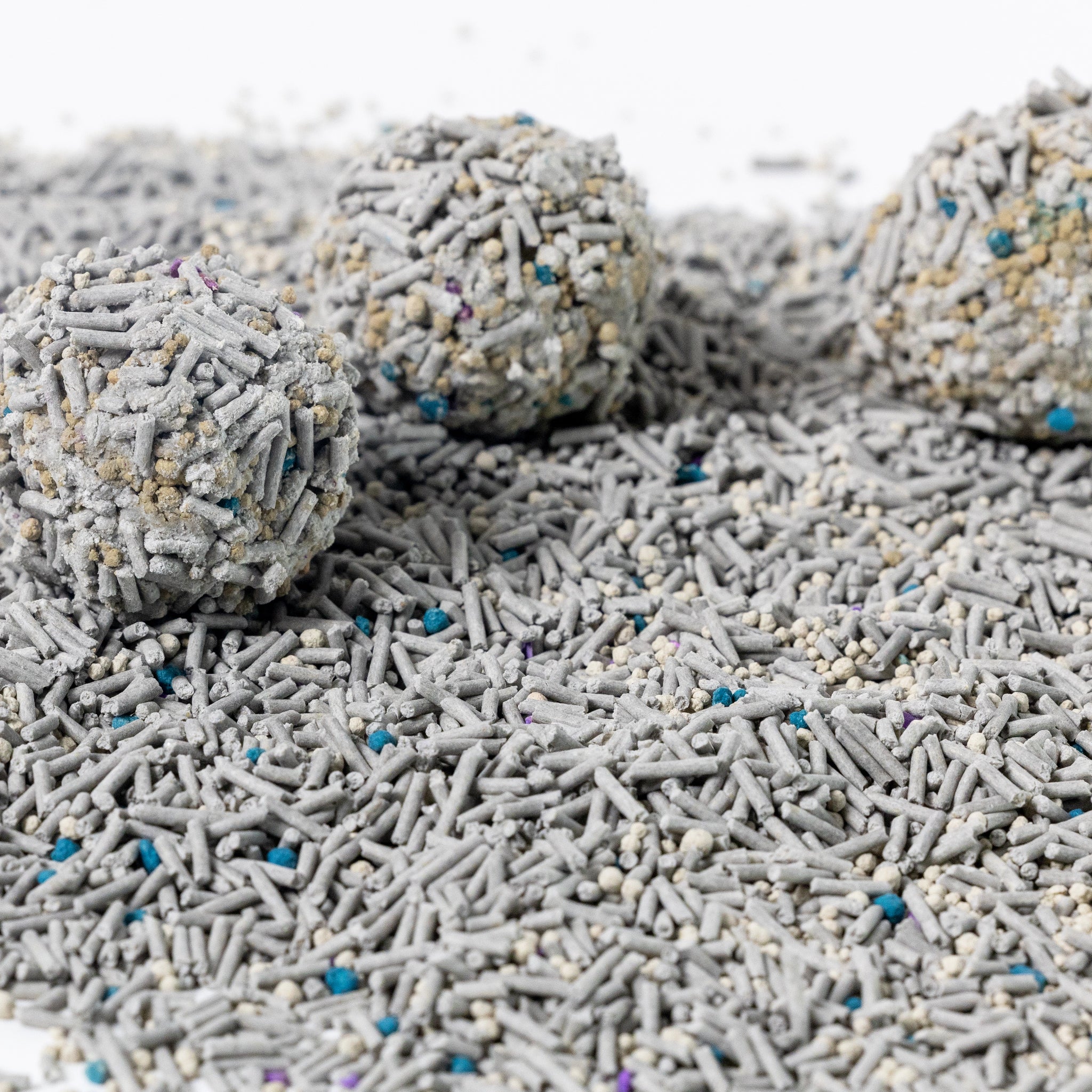 image de l'observateur