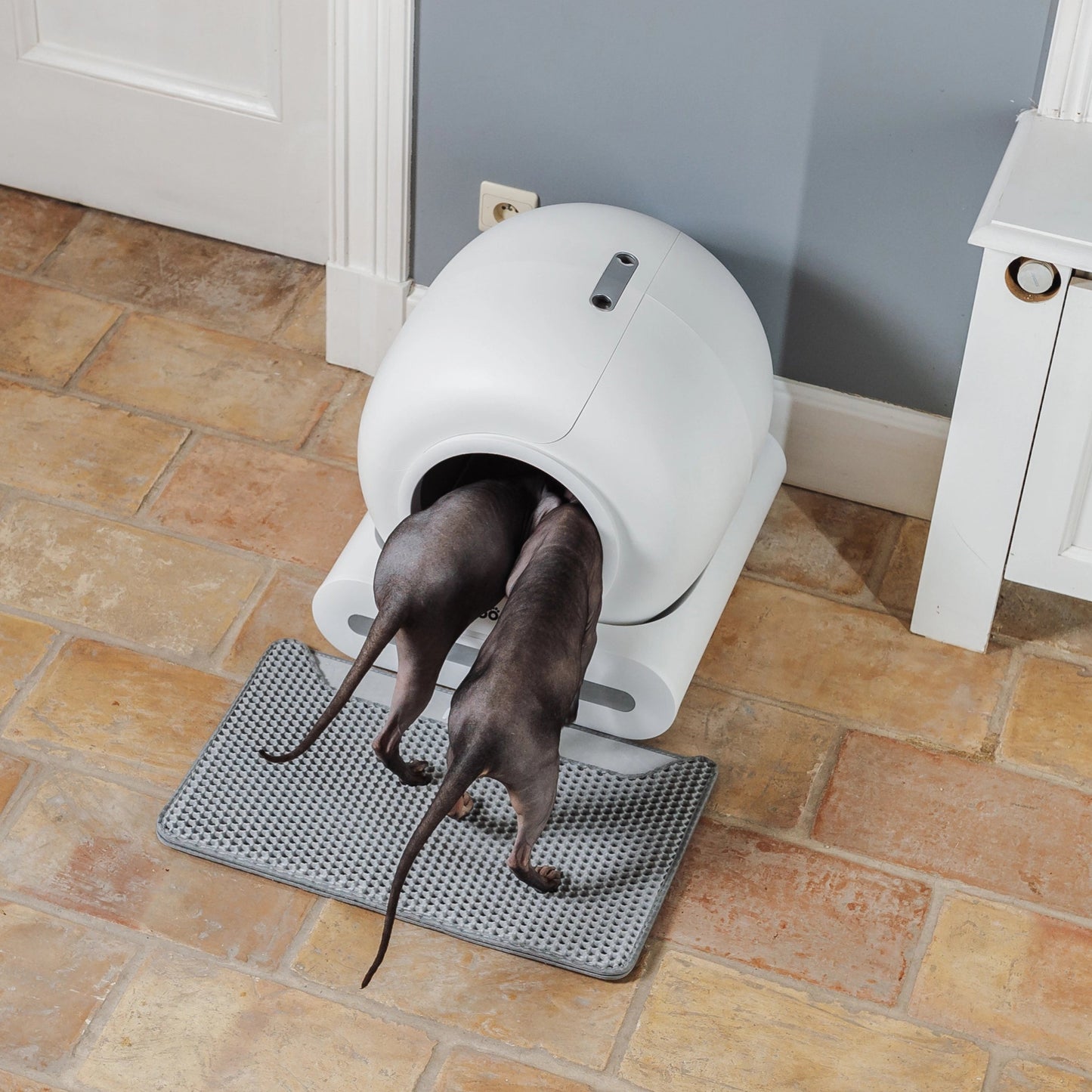 PRE ORDER - Poopy Nano 2 Bundel - Wit