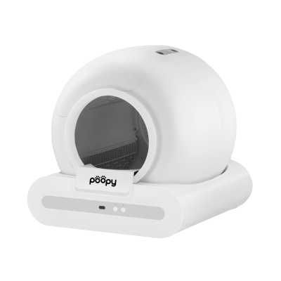 Test Product - Poopy