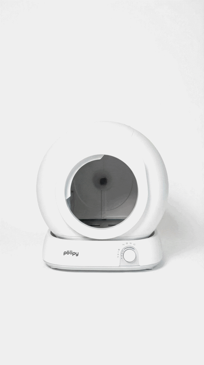 Safe for your cat