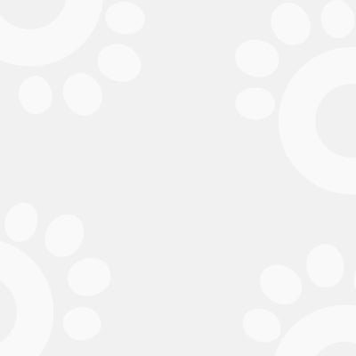 paw background image