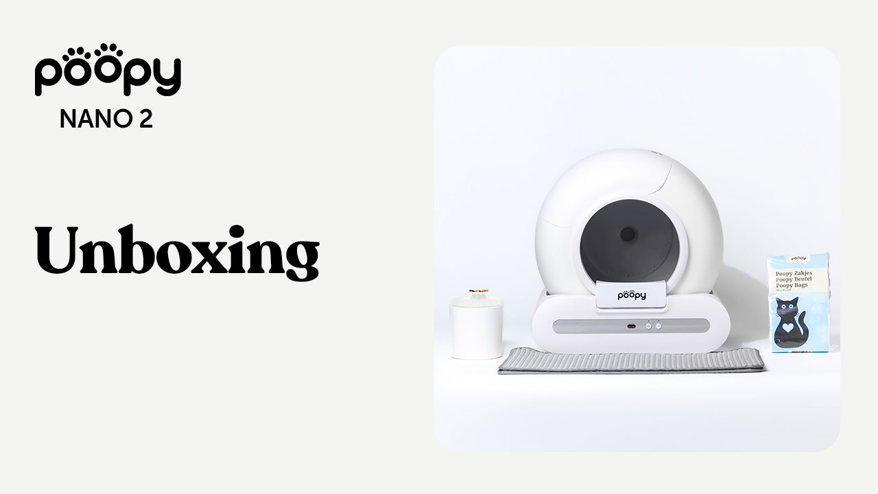 Unboxing – Was ist enthalten?