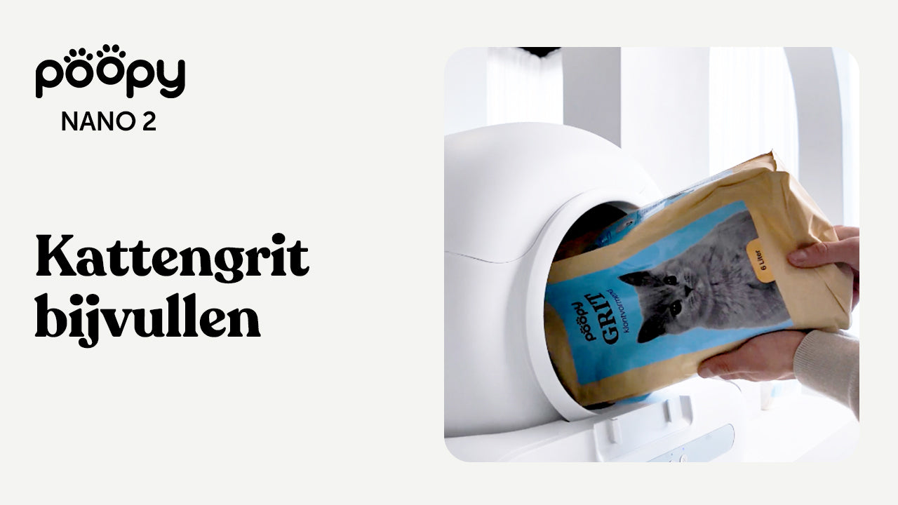 Katzenstreu nachfüllen