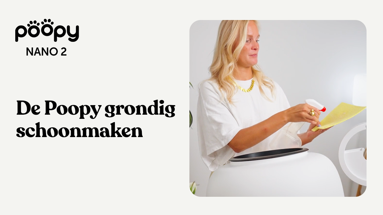 Poopy gründlich reinigen