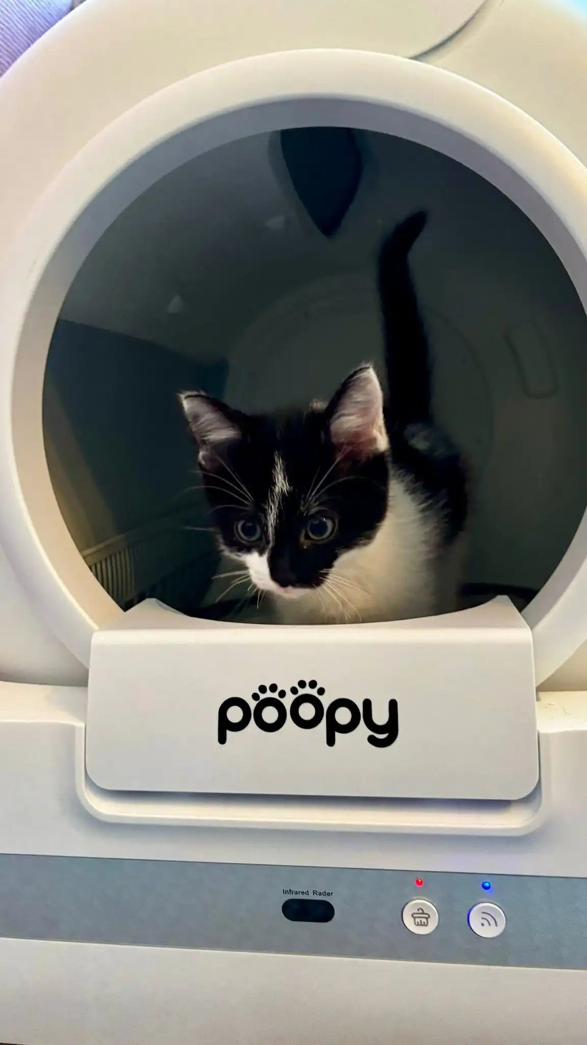 Poopy