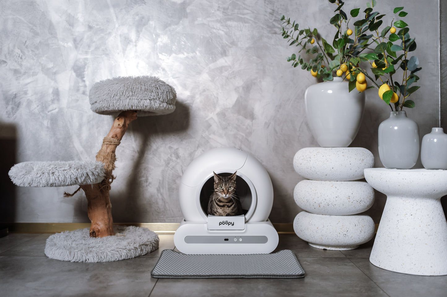 Poopy Nano 2 Remis à neuf - Blanc